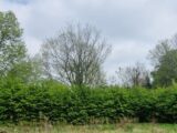 Maison à construire à Auberville (14640) 2260481-11216annonce1202509045ckyE.jpeg Les Maisons Extraco