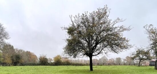 Terrain à bâtir à Le Theil-en-Auge, Basse-Normandie