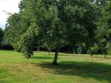 Maison à construire à Clarbec (14130) 2260568-11216annonce120250904k4fE5.jpeg Les Maisons Extraco