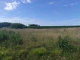 Maison à construire à Bonnières-sur-Seine (78270) 2262197-5689annonce120250905xhgNC.jpeg Les Maisons Extraco