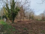 Maison à construire à Thoiry (78770) 2262525-11219annonce120250903vVWTb.jpeg Les Maisons Extraco