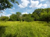 Maison à construire à Mareil-sur-Mauldre (78124) 2267019-11589annonce120250909FSOHV.jpeg Les Maisons Extraco