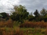 Maison à construire à Maule (78580) 2268091-5689annonce120250911BCGDJ.jpeg Les Maisons Extraco