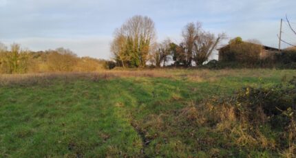 Le Breuil-en-Auge Maison neuve - 2268527-11216annonce1202509124zD5K.jpeg Les Maisons Extraco