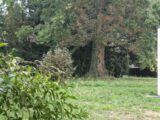 Maison à construire à Chaufour-lès-Bonnières (78270) 2269816-11219annonce120250910zV3bb.jpeg Les Maisons Extraco