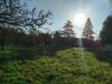 Maison à construire à Mesnil-sur-l’Estrée (27650) 2270560-11219annonce120250910gqG4i.jpeg Les Maisons Extraco