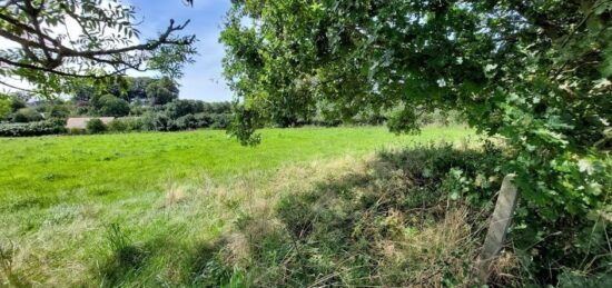 Terrain à bâtir à Tourville-les-Ifs, Normandie