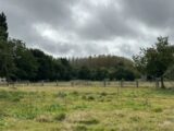 Maison à construire à Épaignes (27260) 2274899-11214annonce120250917g66hN.jpeg Les Maisons Extraco