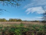 Maison à construire à Fontenay-Saint-Père (78440) 2275733-11589annonce12025091855l5M.jpeg Les Maisons Extraco