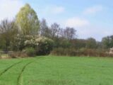 Maison à construire à Galluis (78490) 2275820-11589annonce120250918Jlm7K.jpeg Les Maisons Extraco