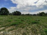 Maison à construire à Pont-Authou (27290) 2277074-4101annonce120250919Fqmfq.jpeg Les Maisons Extraco