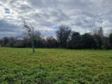 Maison à construire à Saint-Martin-aux-Chartrains (14130) 2278748-11215annonce120250919wxT4i.jpeg Les Maisons Extraco
