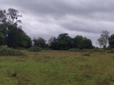 Terrain à bâtir à Trouville-sur-Mer (14360) 2283375-11216annonce120250925215VU.jpeg Les Maisons Extraco