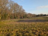 Maison à construire à Foulbec (27210) 2285724-11214annonce120250926Ra7tT.jpeg Les Maisons Extraco