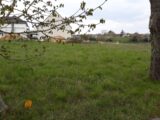 Terrain à bâtir à Bennecourt (78270) 2286317-5689annonce120250927MhsU2.jpeg Les Maisons Extraco