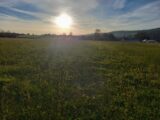 Maison à construire à Berneval-le-Grand (76370) 2286613-4093annonce120250929fkXJL.jpeg Les Maisons Extraco