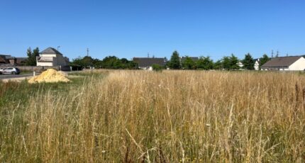 Le Manoir Maison neuve - 2281719-4102annonce120250924Bk3Gf.jpeg Les Maisons Extraco