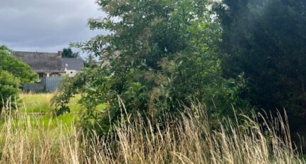 Grand-Couronne Terrain à bâtir - 2219395-11159annonce12025070927y6p.jpeg Les Maisons Extraco