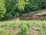 Terrain à bâtir à Saint-Germain-en-Laye (78100) 2289176-11589annonce1202509300kAOU.jpeg Les Maisons Extraco