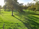 Maison à construire à Tourville-sur-Pont-Audemer (27500) 2291800-4101annonce120251002ywgxv.jpeg Les Maisons Extraco