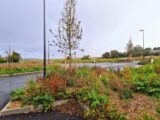 Maison à construire à Saint-Jouin-Bruneval (76280) 2293792-11180annonce12025100377HLx.jpeg Les Maisons Extraco