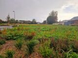 Maison à construire à Saint-Jouin-Bruneval (76280) 2293809-11180annonce120251003puisF.jpeg Les Maisons Extraco