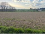 Maison à construire à Fresquiennes (76570) 2294017-11217annonce2202510030vf1K.jpeg Les Maisons Extraco
