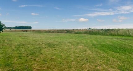 Aviron Maison neuve - 2294223-11590annonce120251004TNSJS.jpeg Les Maisons Extraco