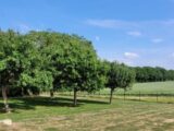 Maison à construire à Autheuil-Authouillet (27490) 2294275-11590annonce120251004uUBRD.jpeg Les Maisons Extraco