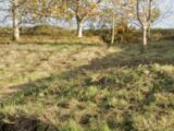 Maison à construire à Coudray (27150) 2294825-11218annonce120251004XGXH0.jpeg Les Maisons Extraco