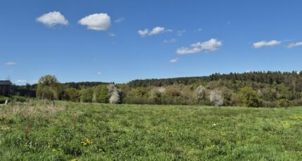 La Neuville-du-Bosc Terrain à bâtir - 2294696-11214annonce120251005dIKyO.jpeg Les Maisons Extraco