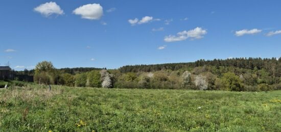 Terrain à bâtir à La Neuville-du-Bosc, Normandie