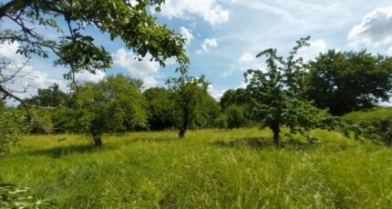 Galluis Terrain à bâtir - 2297543-11589annonce1202510074truh.jpeg Les Maisons Extraco