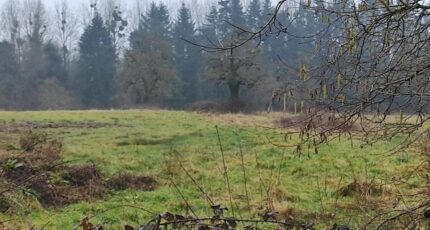 Saint-André-d'Hébertot Terrain à bâtir - 2302018-11216annonce120251011nUIcm.jpeg Les Maisons Extraco