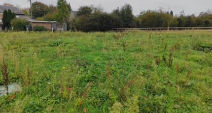 Saint-Benoît-d'Hébertot Maison neuve - 2302076-11216annonce120251011DEUBo.jpeg Les Maisons Extraco