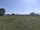 Maison à construire à La Saussaye (27370) 2301681-6236annonce120251010T4zAb.jpeg Les Maisons Extraco