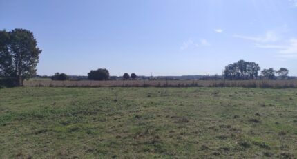 La Saussaye Maison neuve - 2301681-6236annonce120251010T4zAb.jpeg Les Maisons Extraco