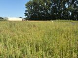 Maison à construire à Allouville-Bellefosse (76190) 2306769-11217annonce220251015A16ot.jpeg Les Maisons Extraco