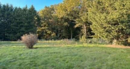 Reuilly Maison neuve - 2309709-11590annonce120251017quTbD.jpeg Les Maisons Extraco