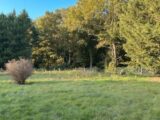 Maison à construire à Reuilly (27930) 2309706-11590annonce120251017quTbD.jpeg Les Maisons Extraco