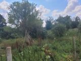 Maison à construire à Neauphlette (78980) 2317330-11590annonce120251024SNyli.jpeg Les Maisons Extraco