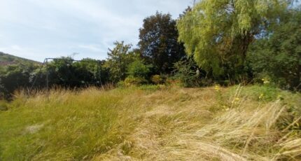 Les Alluets-le-Roi Maison neuve - 2318151-11589annonce120251018V5OwI.jpeg Les Maisons Extraco