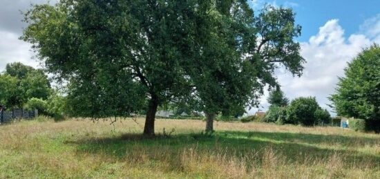 Terrain à bâtir à Saint-Pierre-des-Fleurs, Normandie