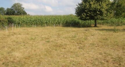 Montaure Maison neuve - 2319473-4102annonce120251028vsqQq.jpeg Les Maisons Extraco