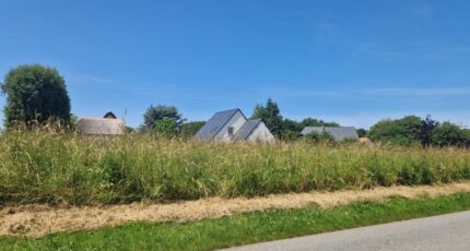 Bornambusc Maison neuve - 2323073-11180annonce1202510301pEbQ.jpeg Les Maisons Extraco