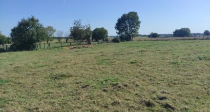 La Saussaye Maison neuve - 2322659-6236annonce1202510305wcpf.jpeg Les Maisons Extraco