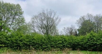 Moyaux Maison neuve - 2323666-11216annonce120251031skbZy.jpeg Les Maisons Extraco