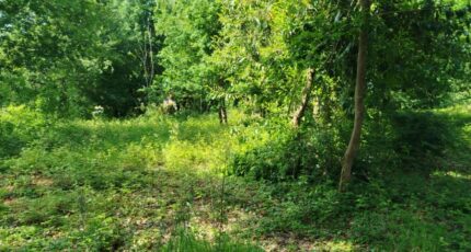 Thoiry Terrain à bâtir - 2327023-11219annonce120251104xeUbX.jpeg Les Maisons Extraco