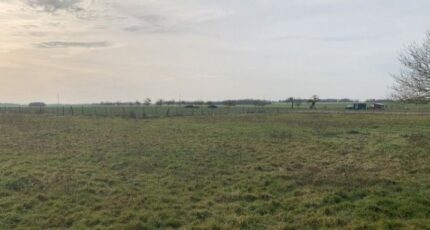 Jumelles Maison neuve - 2329850-11590annonce120251106haWLE.jpeg Les Maisons Extraco