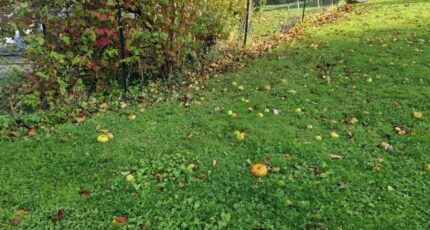 Montivilliers Terrain à bâtir - 2333087-11180annonce120251109vnu6z.jpeg Les Maisons Extraco